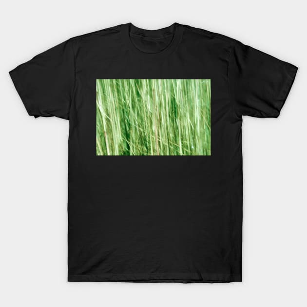 Nature in abstract, green grass in motion blur T-Shirt by brians101